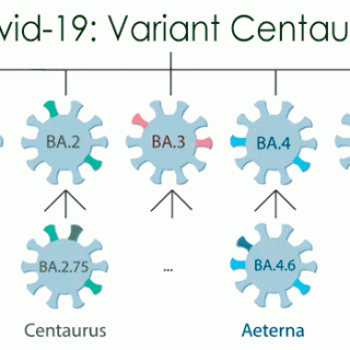 Covid-19: Variant centaure